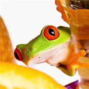 Rehab Citrus - The Frogs Are Near (Prologue) Mp3