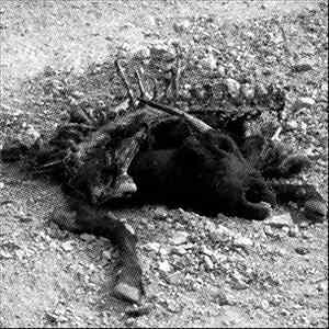 Cursed - The Last Session Mp3