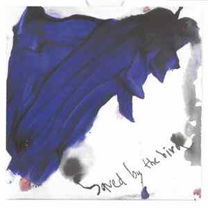 Vibracathedral Orchestra - Saved By The Bird Mp3