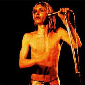 Iggy And The Stooges - Search And Destroy Mp3