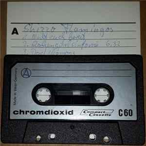 Shizzo Flamingos - Demo Mp3