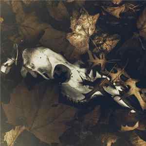 Pray For Teeth - From The Dry Edge Of The Shore Mp3