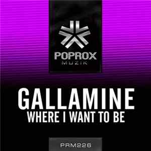 Gallamine - Where I Want To Be Mp3