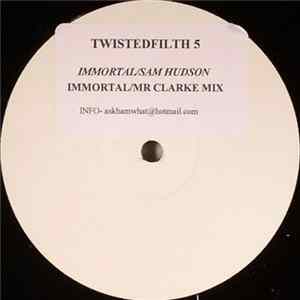 Sam Hudson - Immortal Mp3