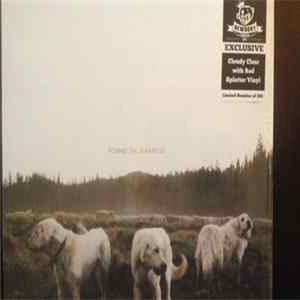 Foxing - The Albatross Mp3