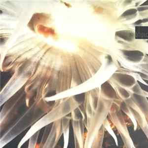 Romar - ATIPIC 007 Mp3