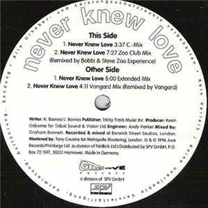 Troi - Never Knew Love Mp3