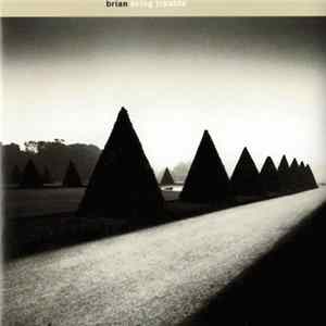 Brian - Bring Trouble Mp3