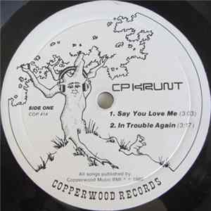 CP Krunt - Say You Love Me Mp3