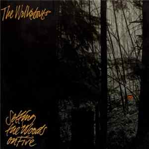 The Walkabouts - Setting The Woods On Fire Mp3