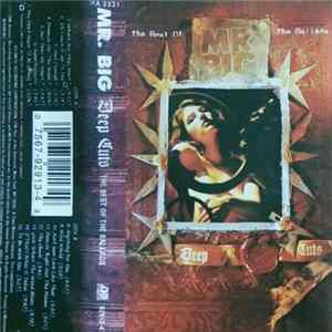 Mr. Big - Deep Cuts: The Best Of The Ballads Mp3