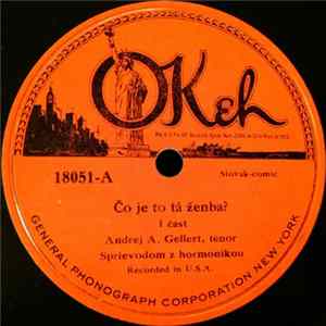 Andrej A. Gellert - Čo Je To Tá Ženba? Mp3