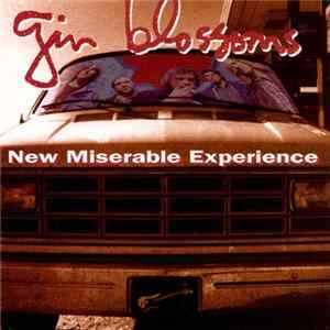 Gin Blossoms - New Miserable Experience Mp3