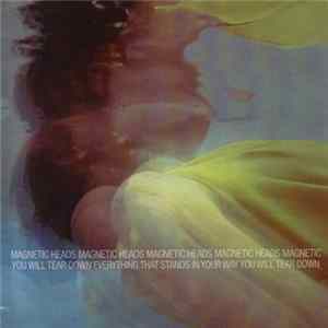Magnetic Heads - You Will Tear Down Everything That Stands In Your Way Mp3
