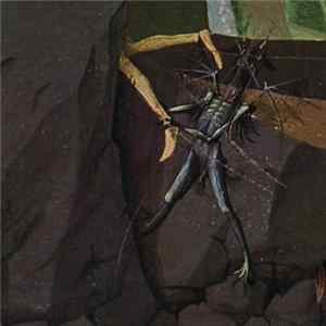 Danava - Hemisphere Of Shadows Mp3