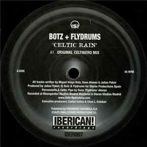 Botz + Flydrums - Celtic Rain Mp3