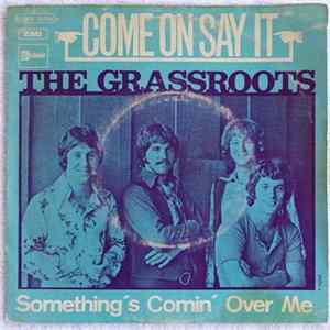 The Grassroots - Come On And Say It Mp3