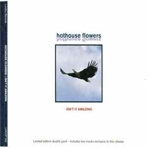 Hothouse Flowers - Isn't It Amazing Mp3