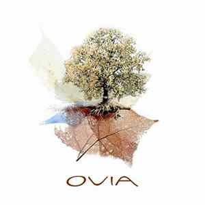 Ovia - Days Of Wonder Mp3