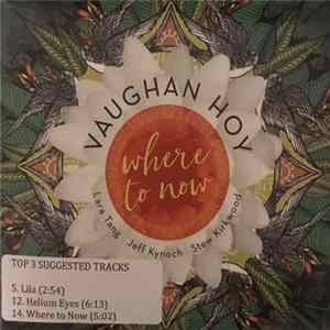 Vaughan Hoy - Where To Now Mp3