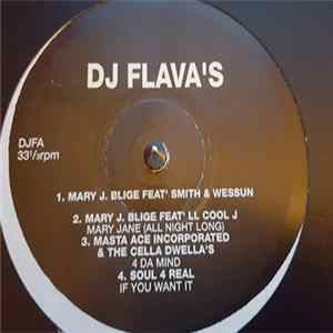 Various - DJ Flava's Mp3