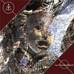 Am Not - The Developing World Mp3