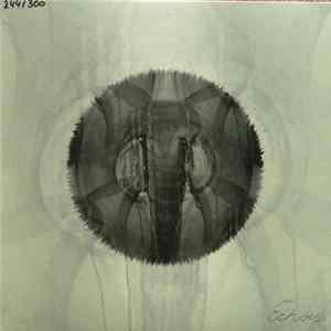 B-Side - EXPEDITion Vol. 3: Echoes Mp3