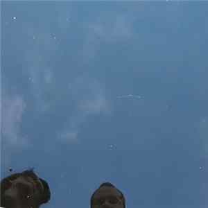 ROW - Live Den Mp3