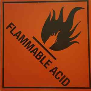 Flammable Acid - Burry That Treasure Mp3