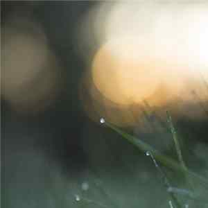 Purl - Stillpoint Mp3