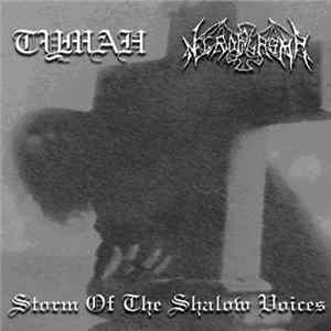 Туман / Necroplasma - Storm Of The Shallow Voices Mp3