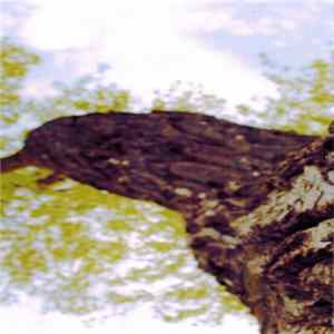 Effed - Light On The Horizon Mp3