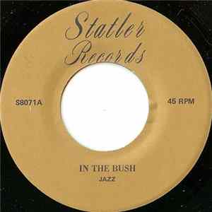 Unknown Artist - In The Bush Mp3