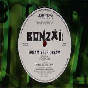 Dream Your Dream - Soushkin Mp3
