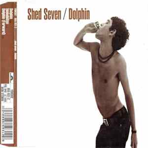 Shed Seven - Dolphin Mp3