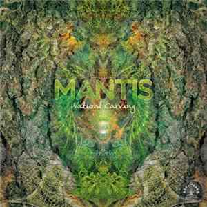 Mantis - Natural Carving Mp3