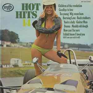 Unknown Artist - Hot Hits 14 Mp3