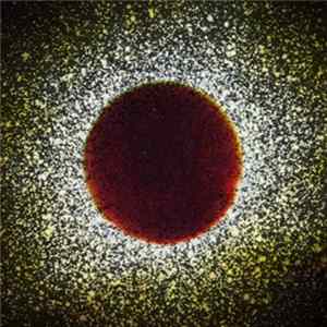 Insub Meta Orchestra - Archive #1 Mp3