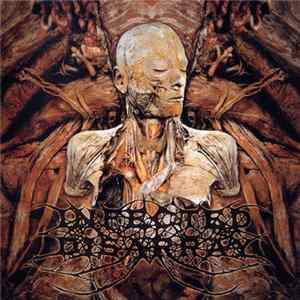 Infected Disarray - Disseminating Obscenity Mp3