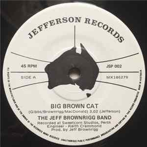 The Jeff Brownrigg Band - Big Brown Cat Mp3