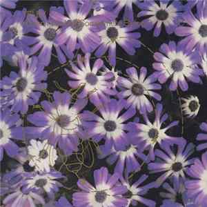 Telex - Haven't We Met Somewhere Before? Mp3