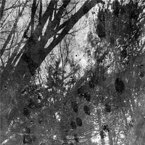Reflections From Nowhere - Not Here Or Anywhere Mp3