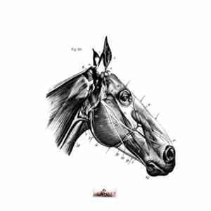 Royal Hungarian Noisemakers - Overdose Mp3