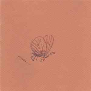 Brian Borcherdt - Moth Mp3