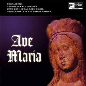 Eva Svanholm Bohlin, Korallerna, Cantores Cathedrales, Lund Cathedral Boys' Choir - Ave Maria Mp3