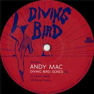 Andy Mac - Diving Bird Series #2 Mp3