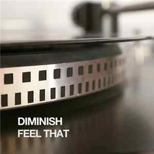Diminish - Feel That Mp3