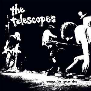 A Place To Bury Strangers / The Telescopes - Down The Stairs / I Wanna Be Your Dog Mp3