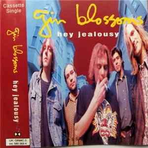 Gin Blossoms - Hey Jealousy Mp3