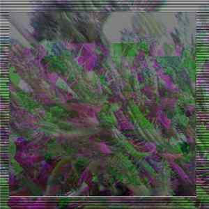 Oliver Tate - Venice Mp3